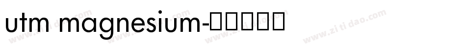 utm magnesium字体转换